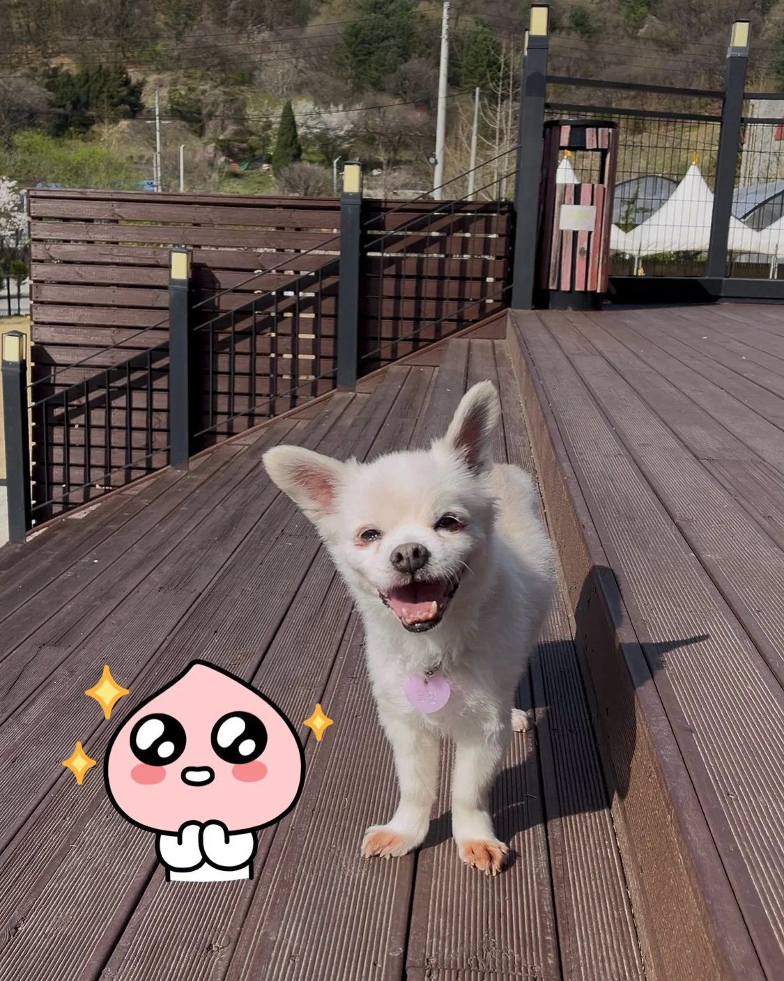 리뷰 사진 3
