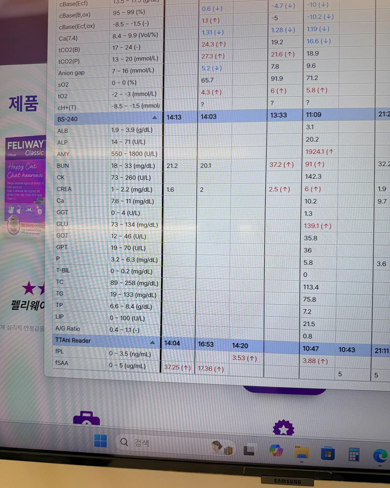 리뷰 사진 2