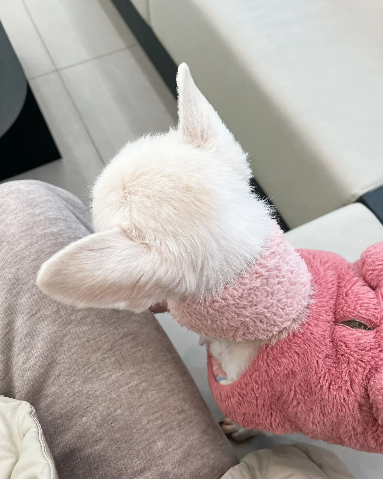리뷰 사진 2