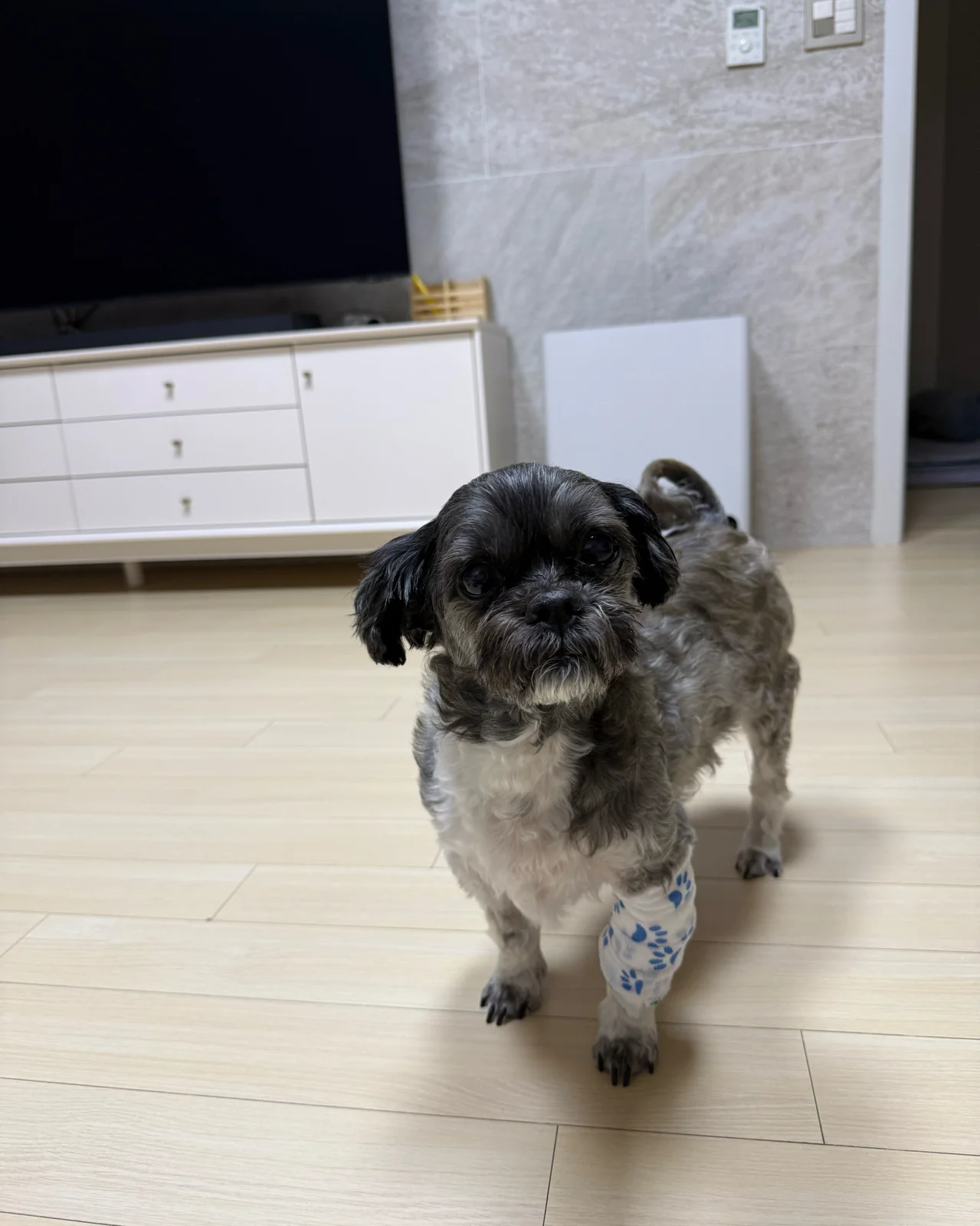 리뷰 사진 1