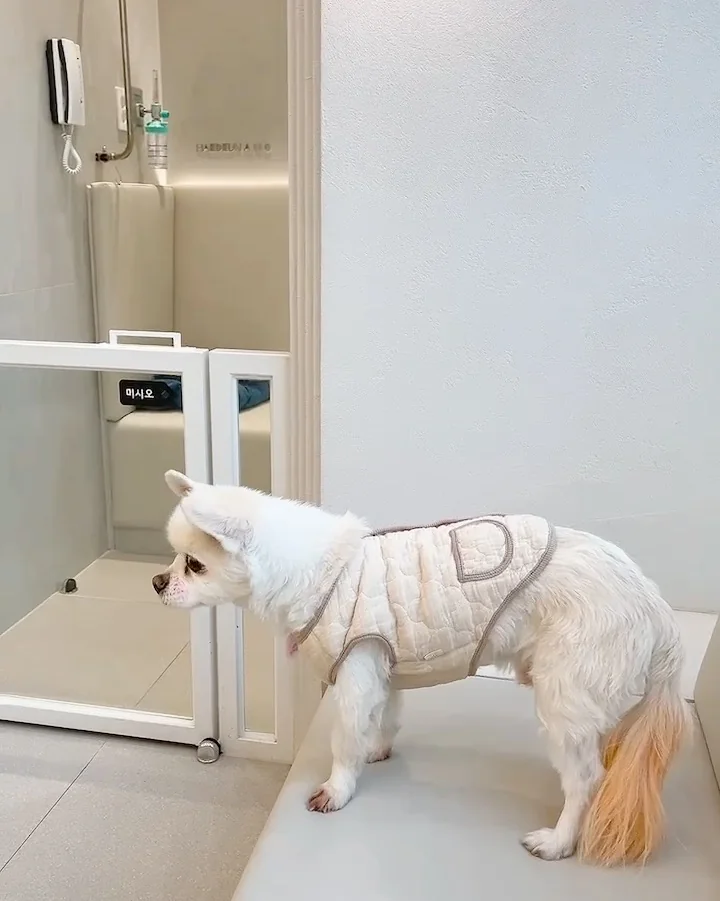리뷰 사진 1