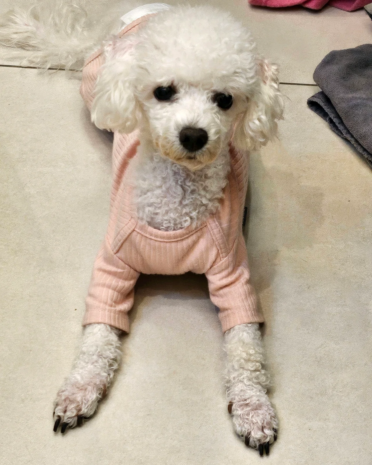 리뷰 사진 2