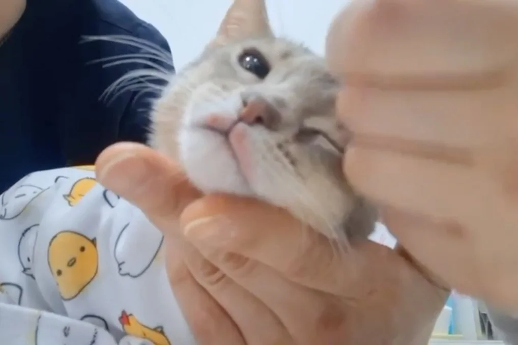 리뷰 사진 1