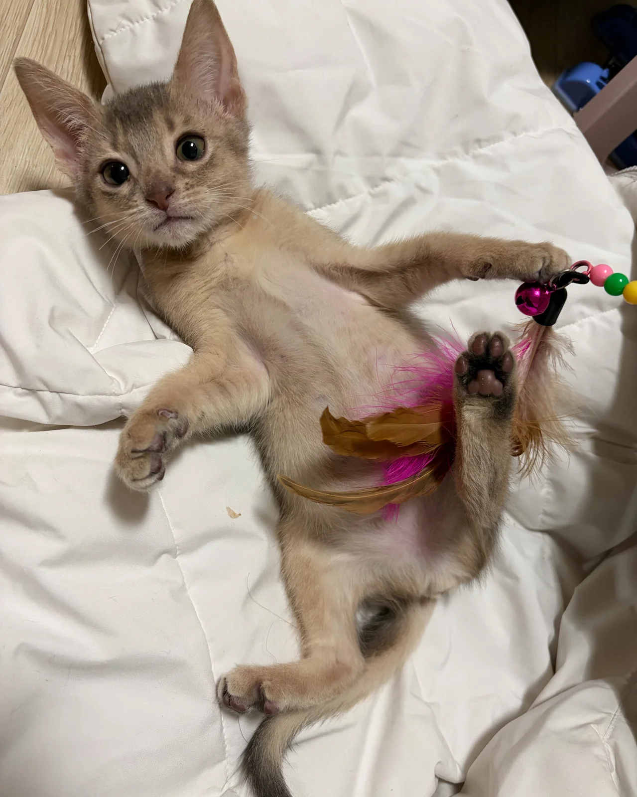리뷰 사진 1