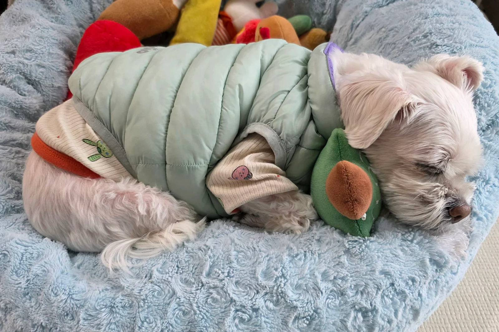 리뷰 사진 2
