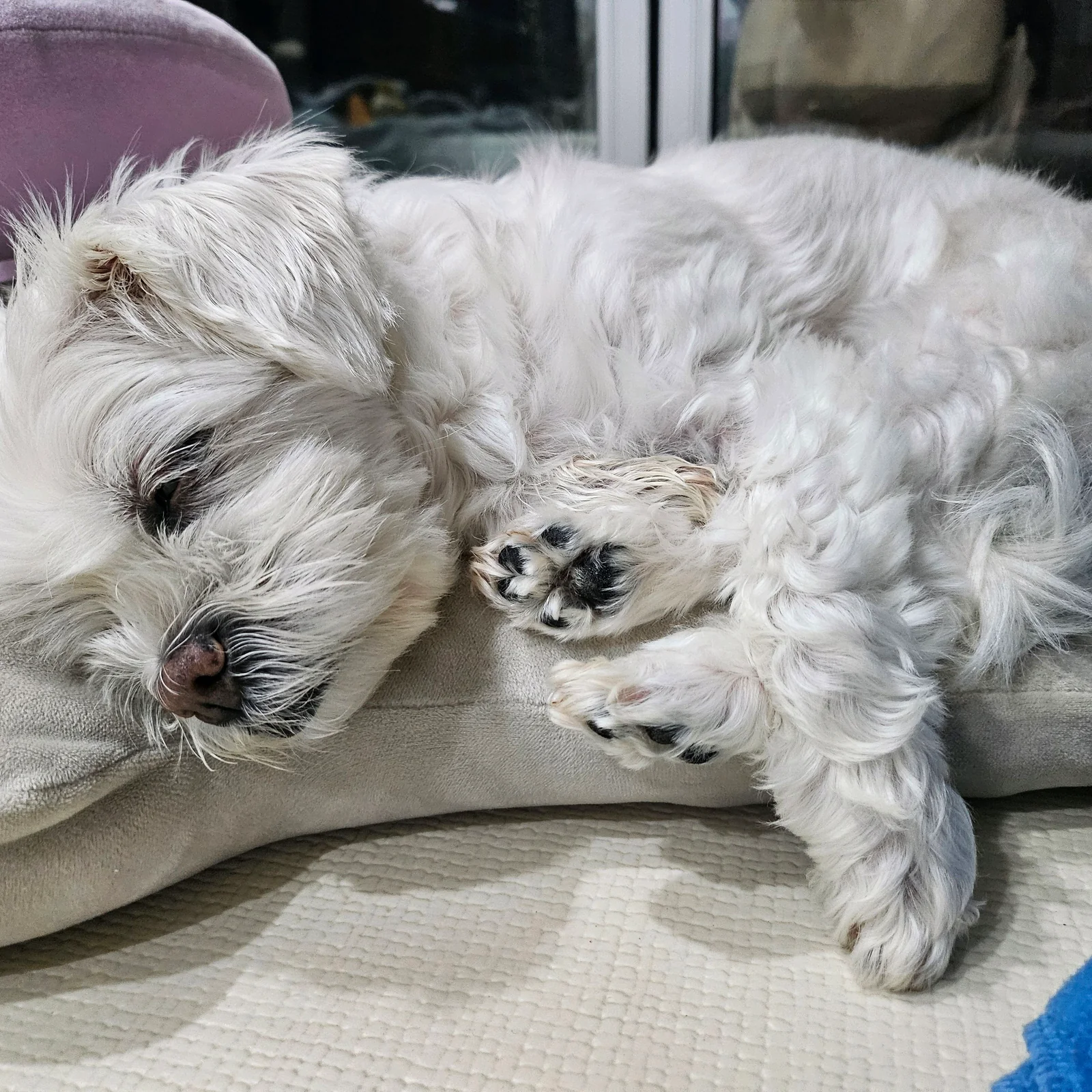리뷰 사진 1