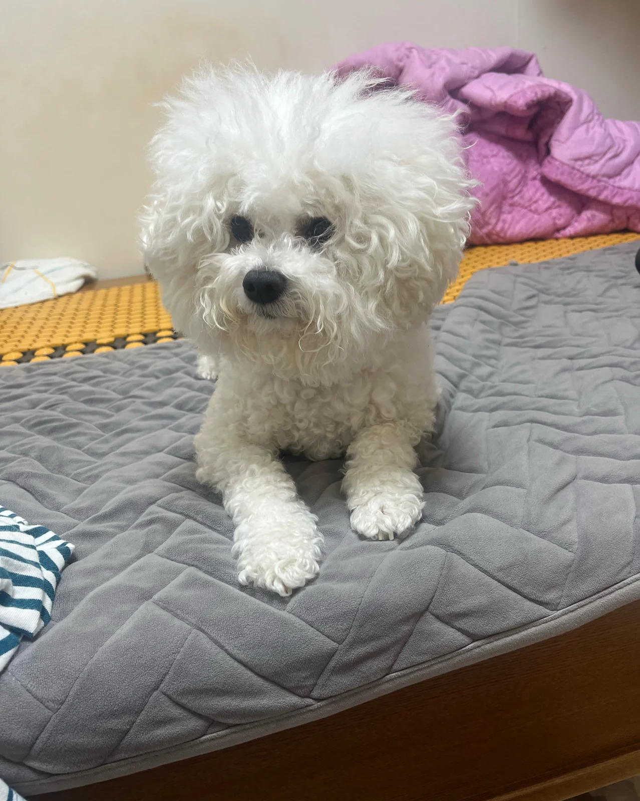 리뷰 사진 1