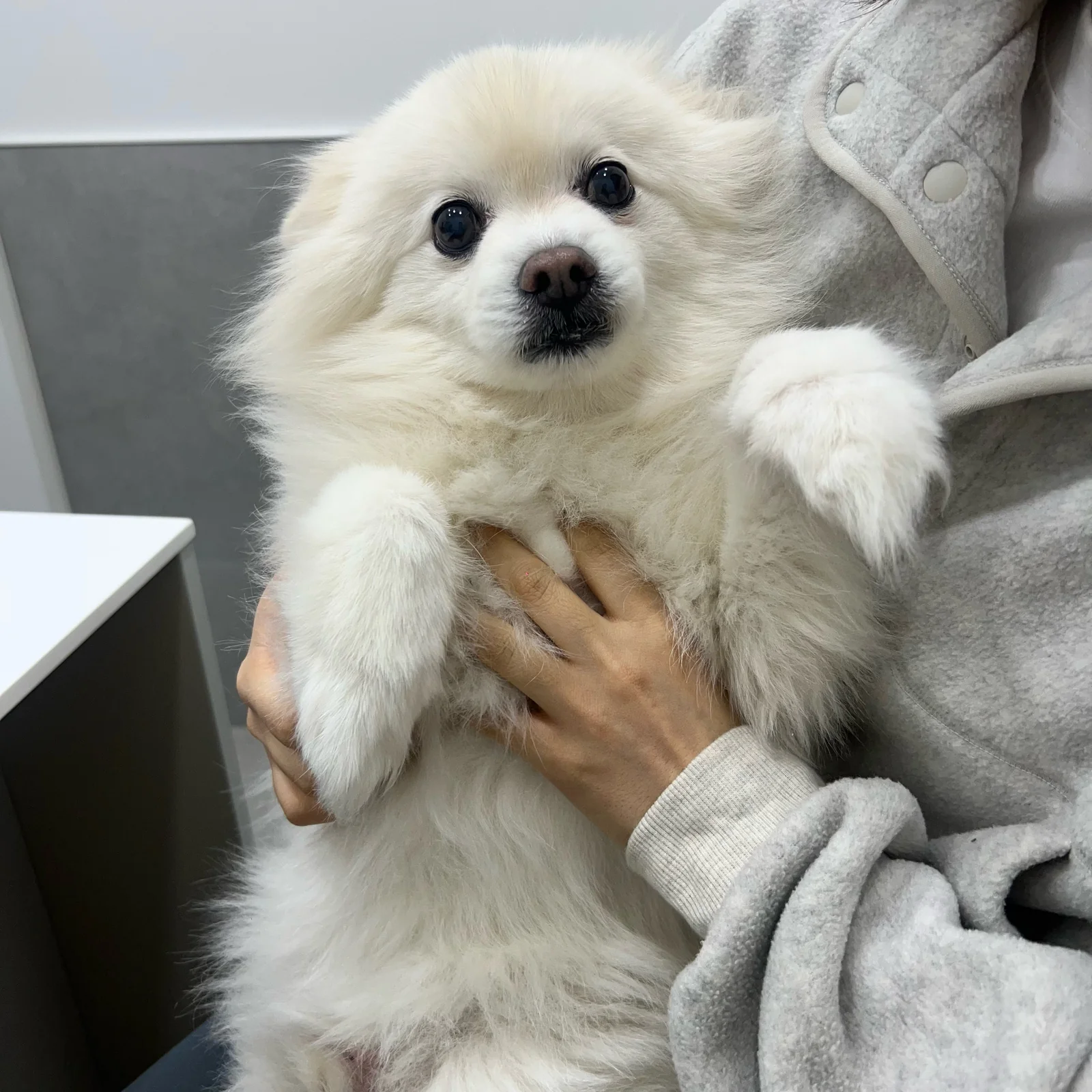 리뷰 사진 1
