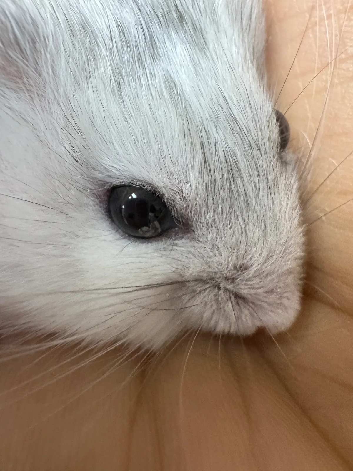 리뷰 사진 1