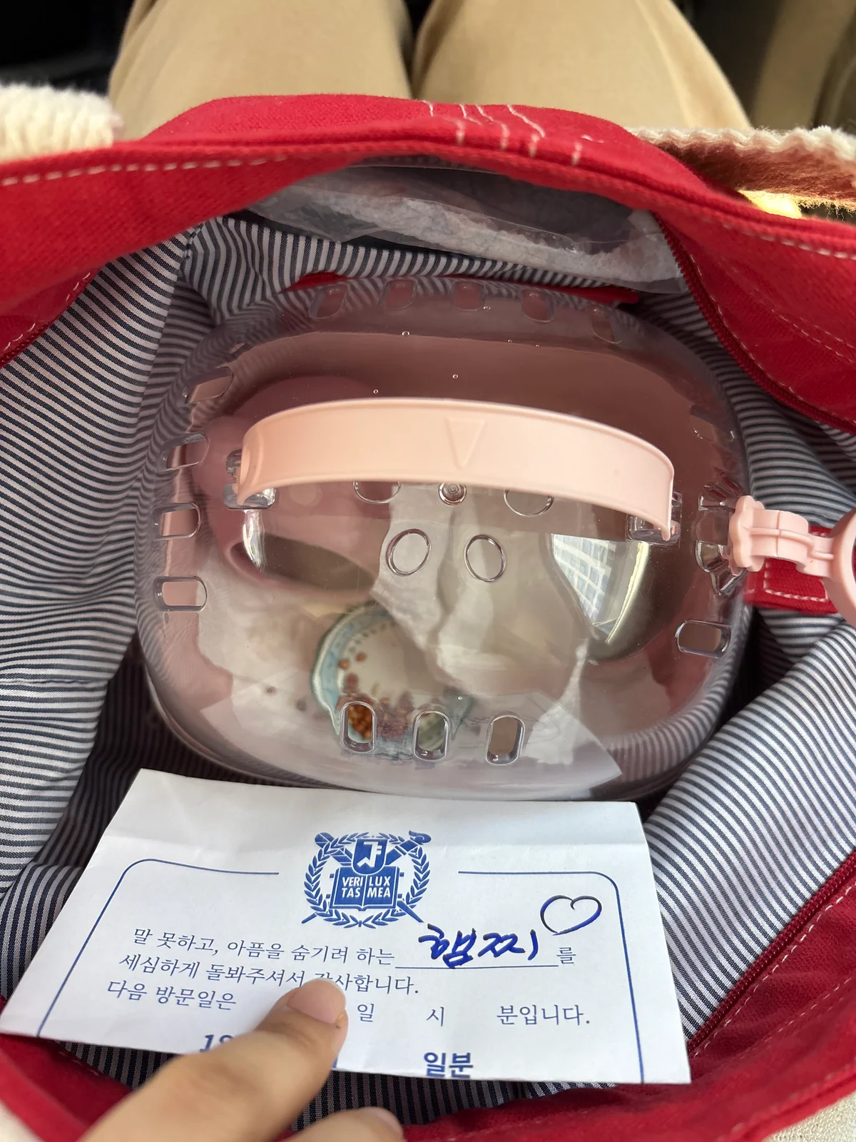 리뷰 사진 2