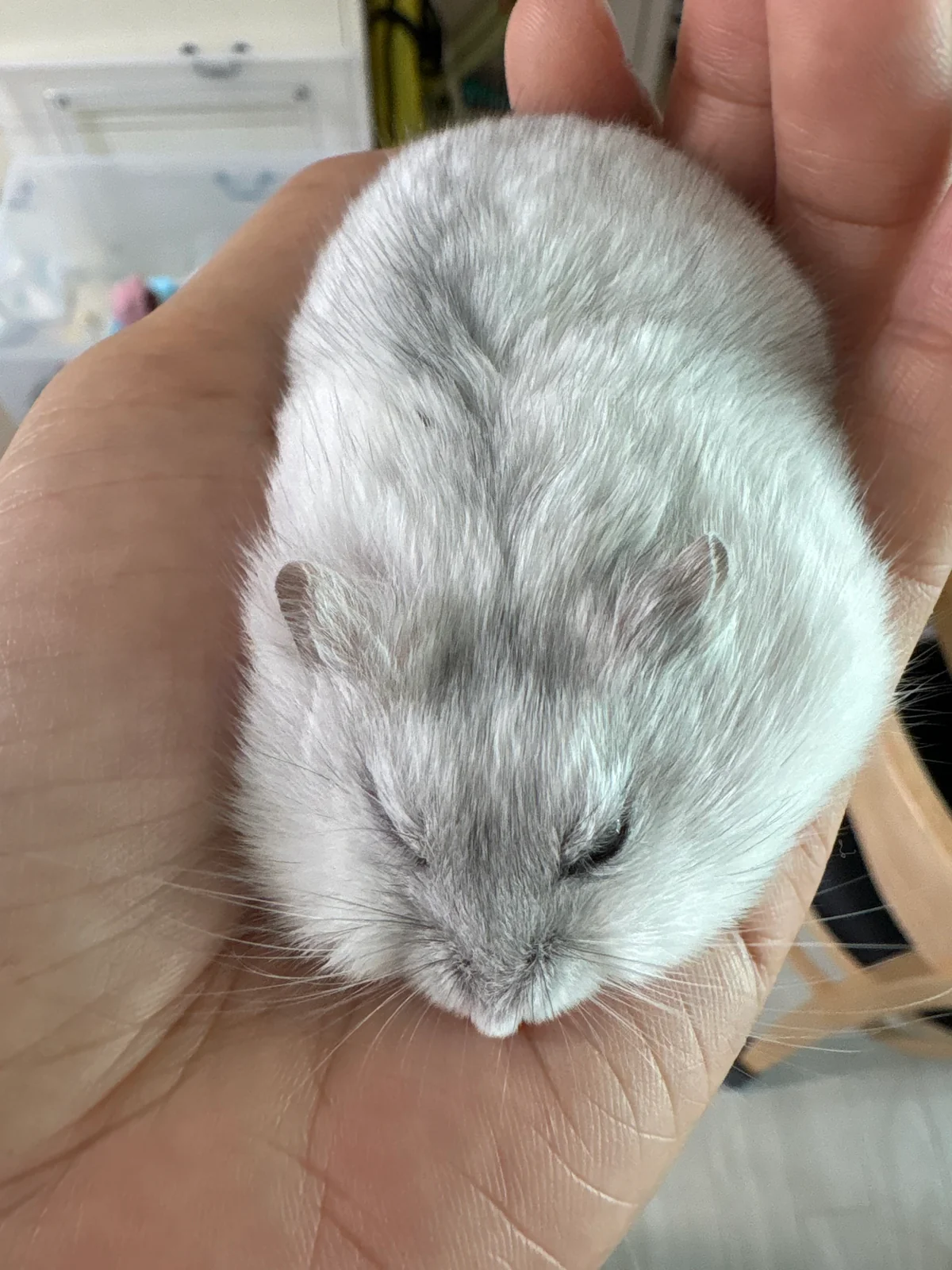 리뷰 사진 3