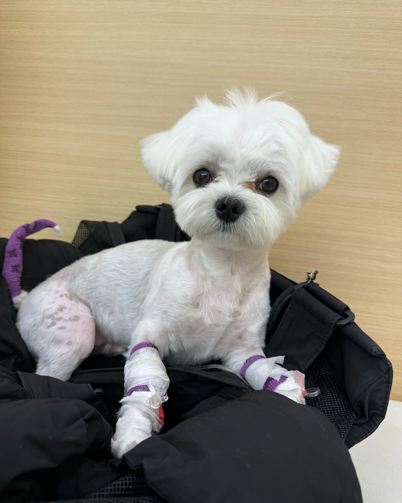 리뷰 사진 1