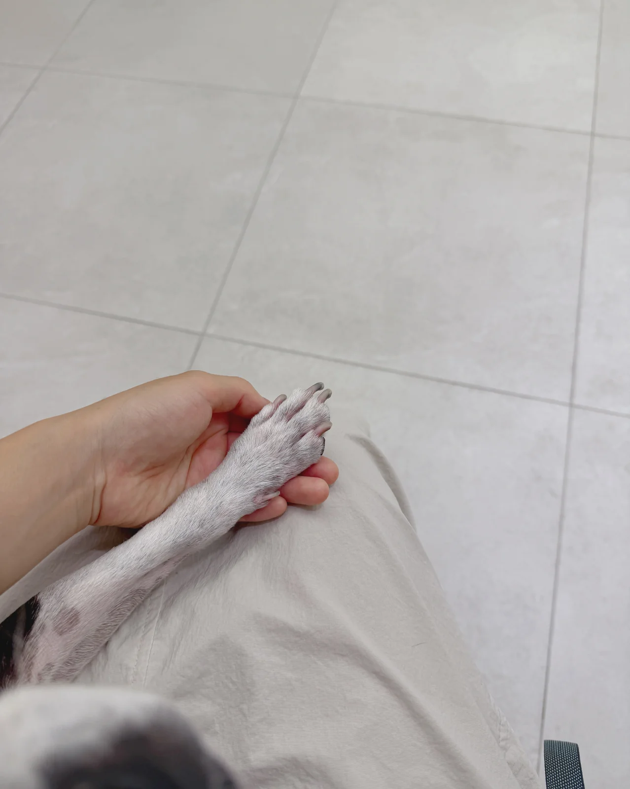 리뷰 사진 1