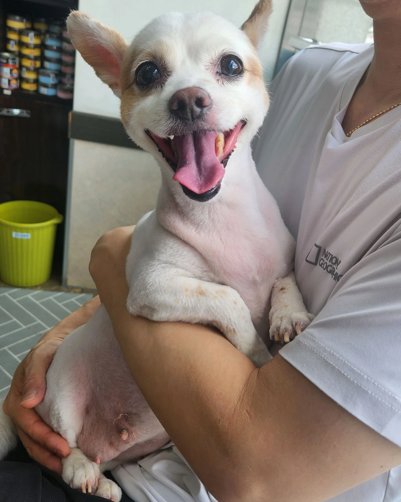 리뷰 사진 1