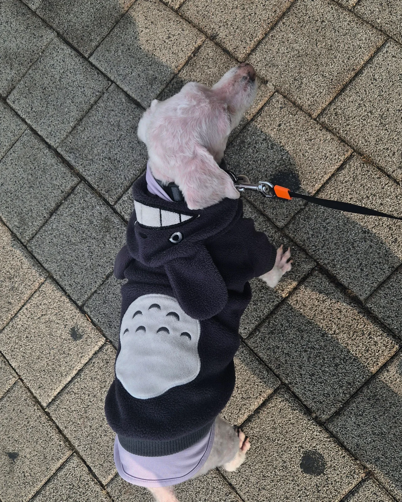 리뷰 사진 2
