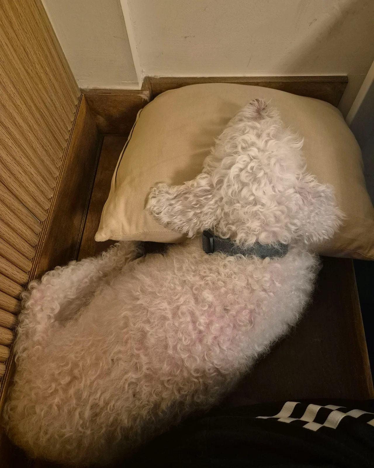 리뷰 사진 1
