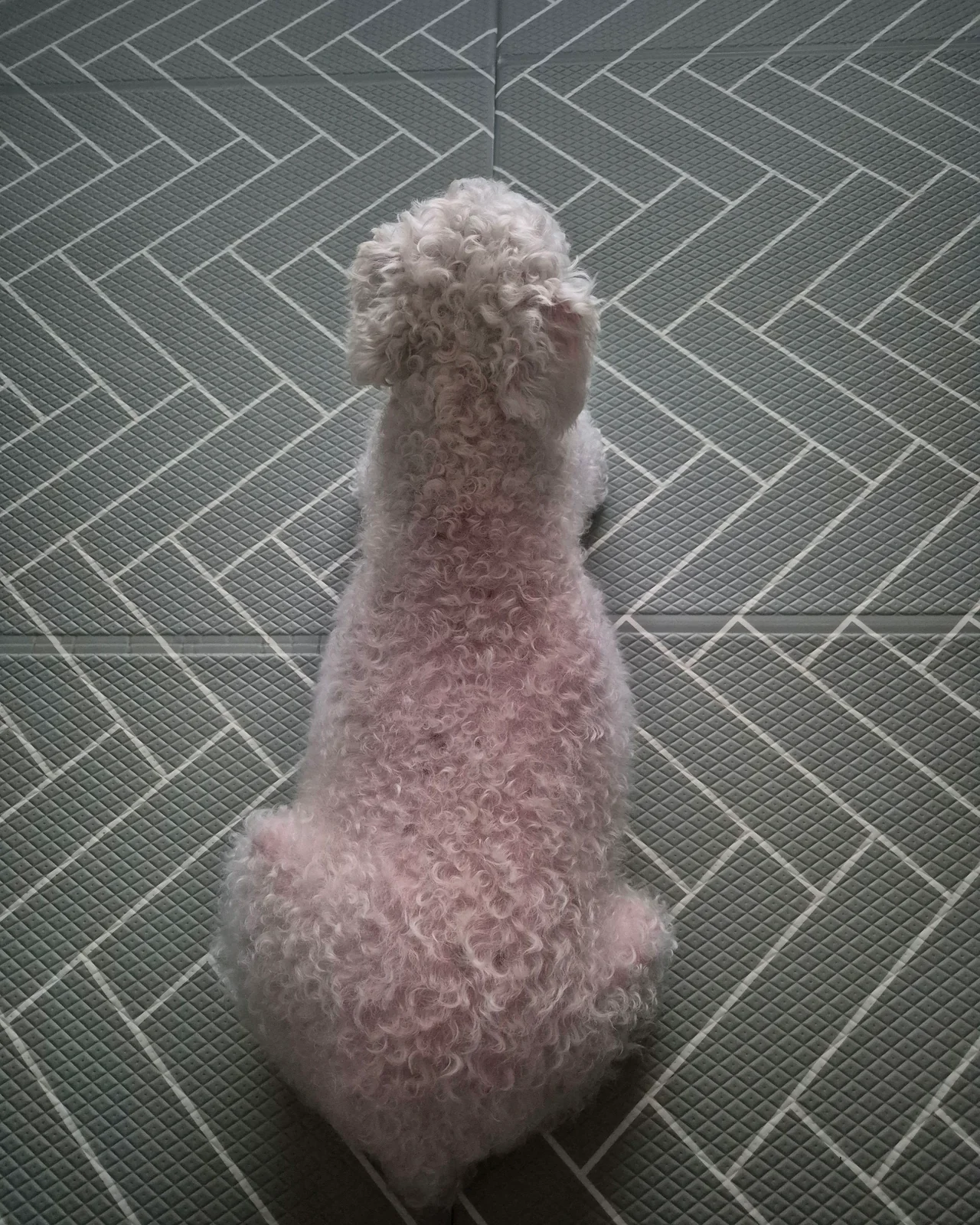 리뷰 사진 1
