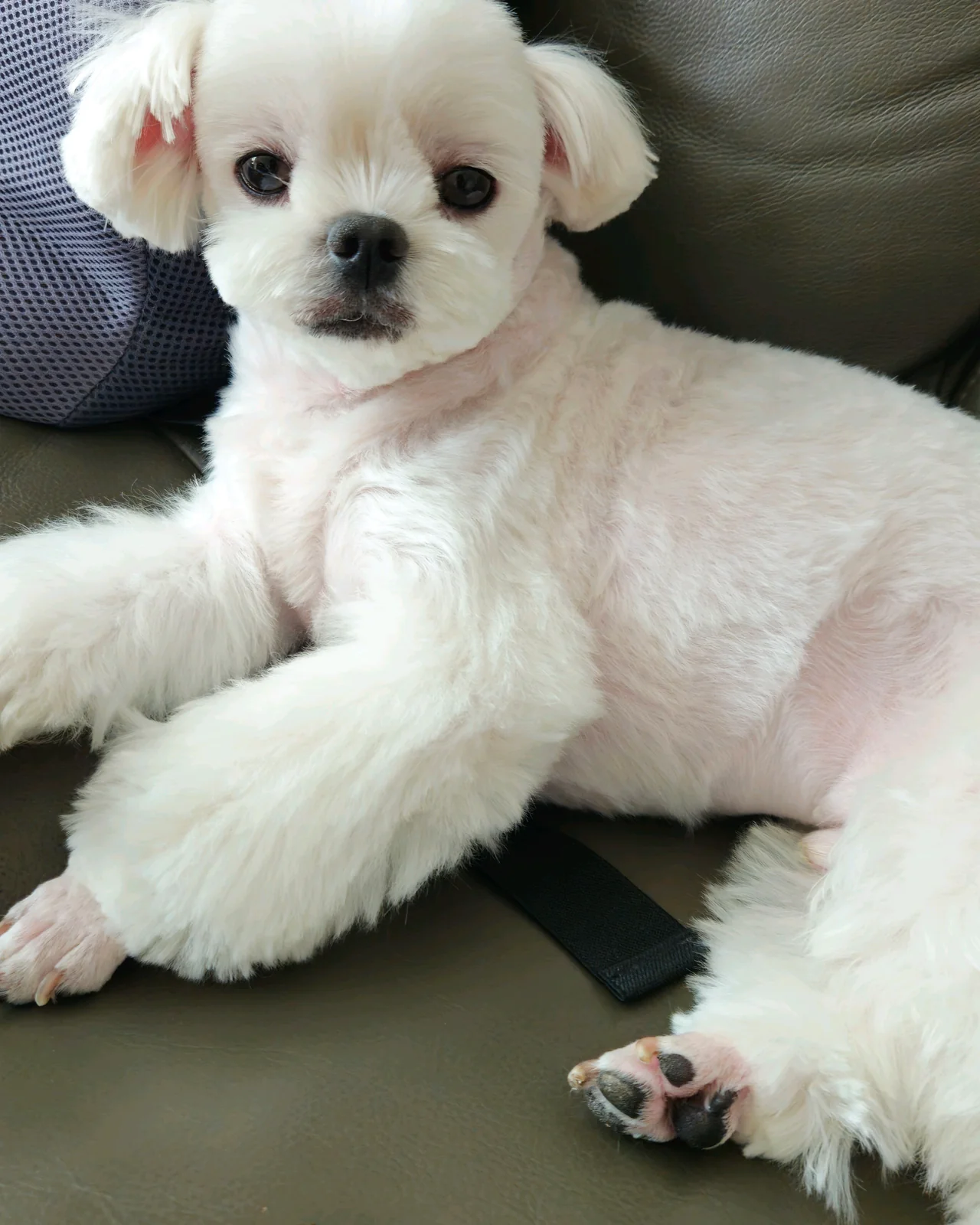 리뷰 사진 1