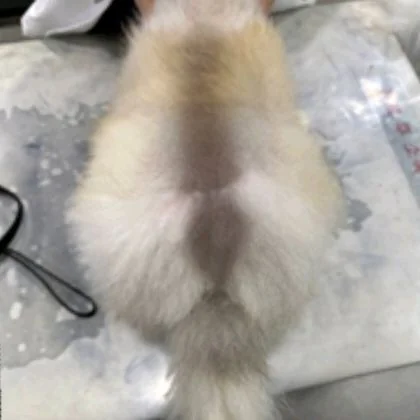 리뷰 사진 1