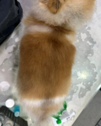 리뷰 사진 2