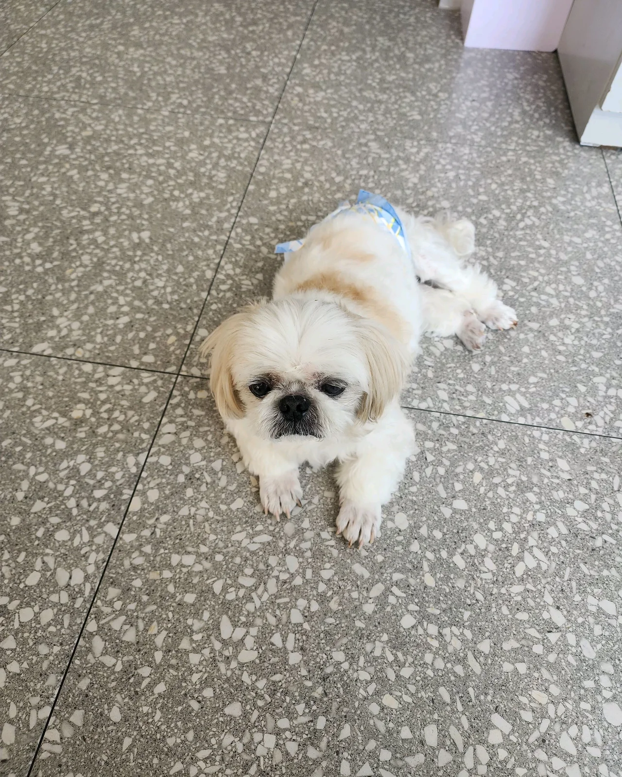 리뷰 사진 2