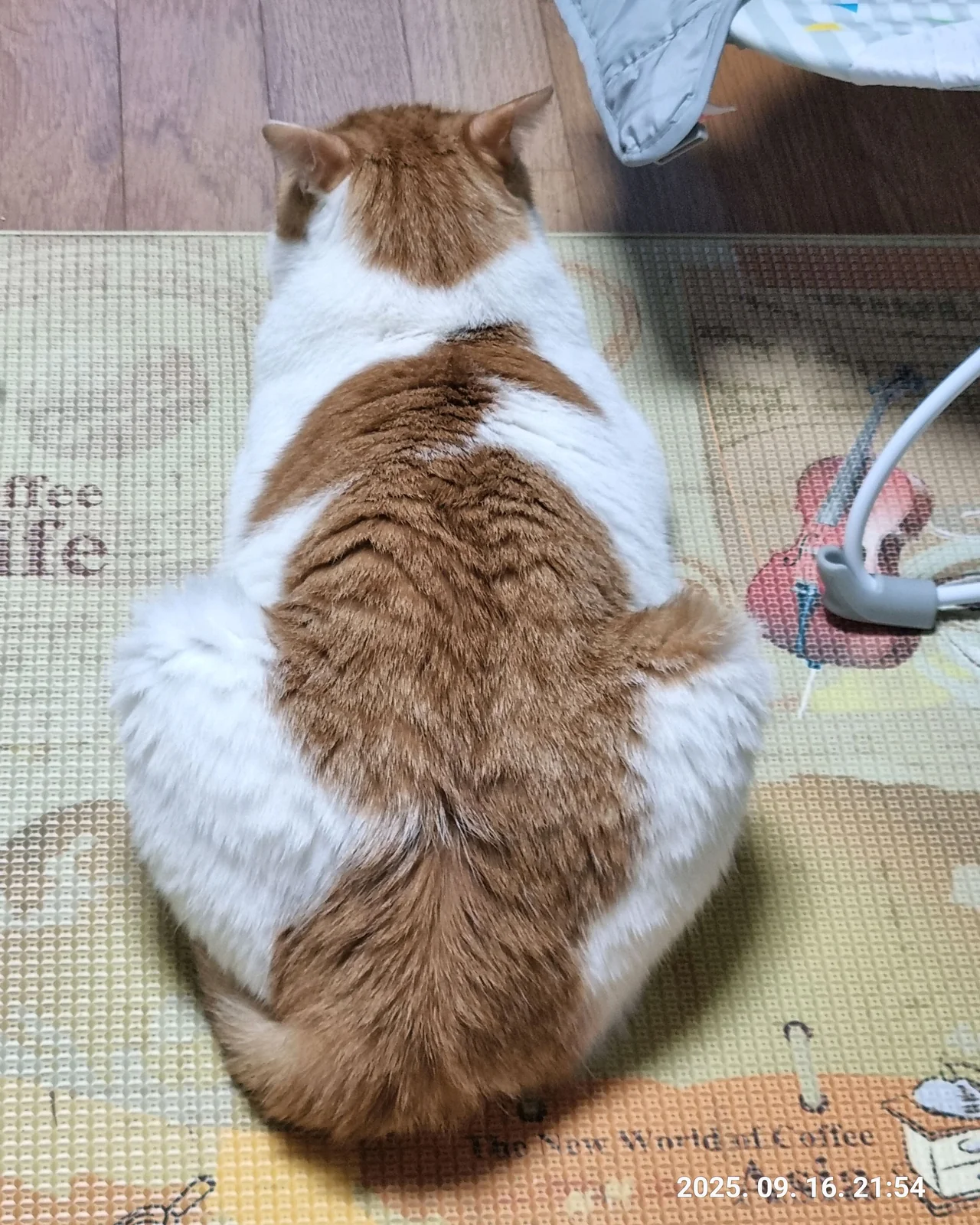 리뷰 사진 1