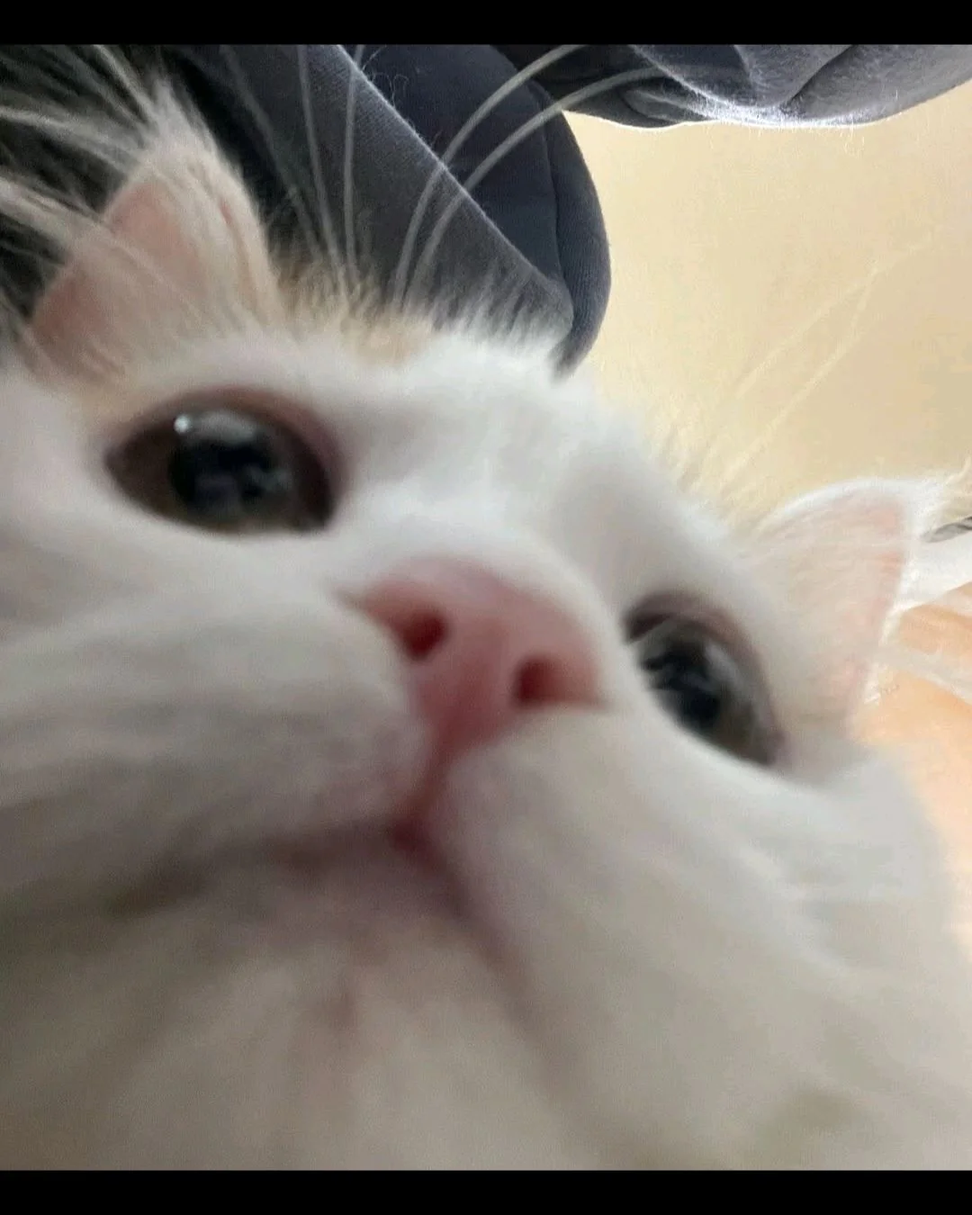 리뷰 사진 1