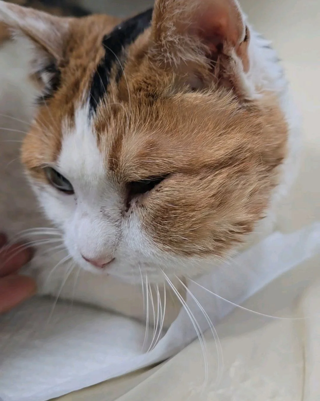 리뷰 사진 2
