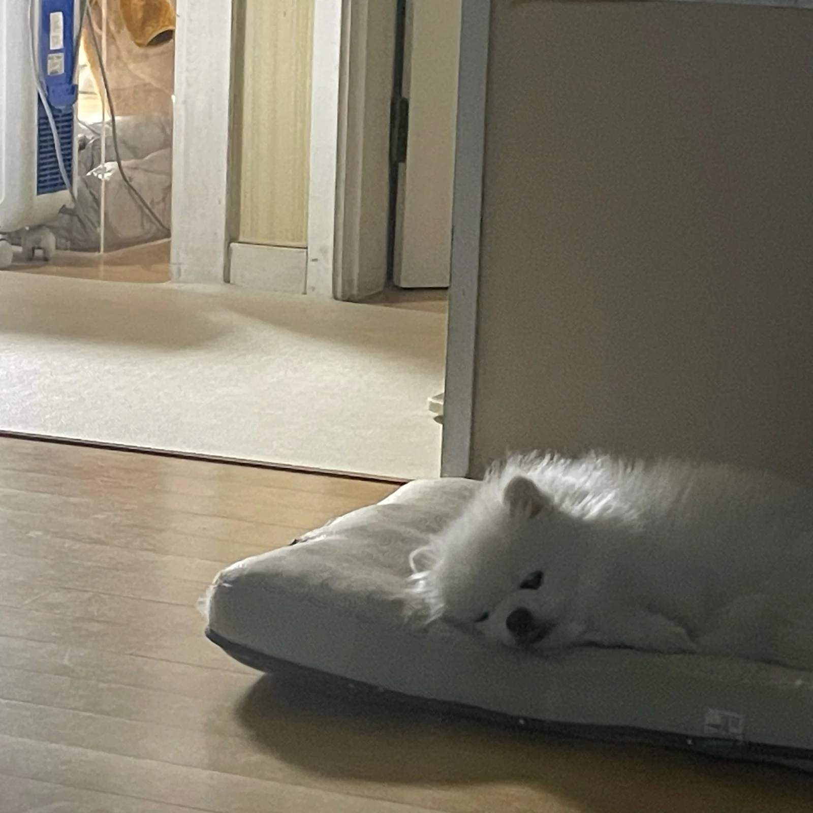 리뷰 사진 1
