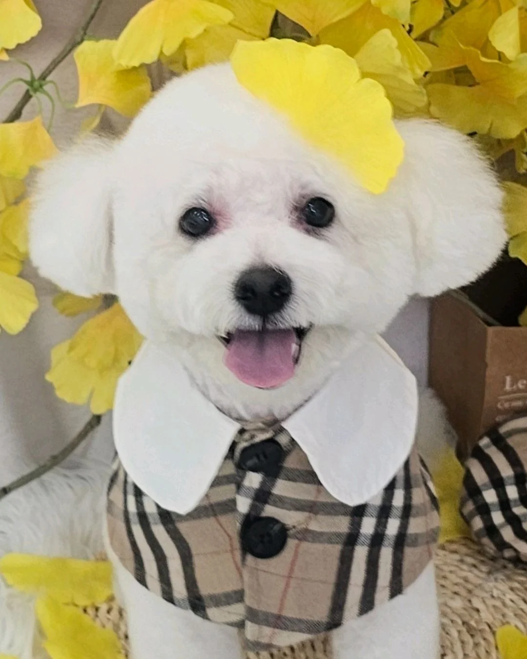 리뷰 사진 1