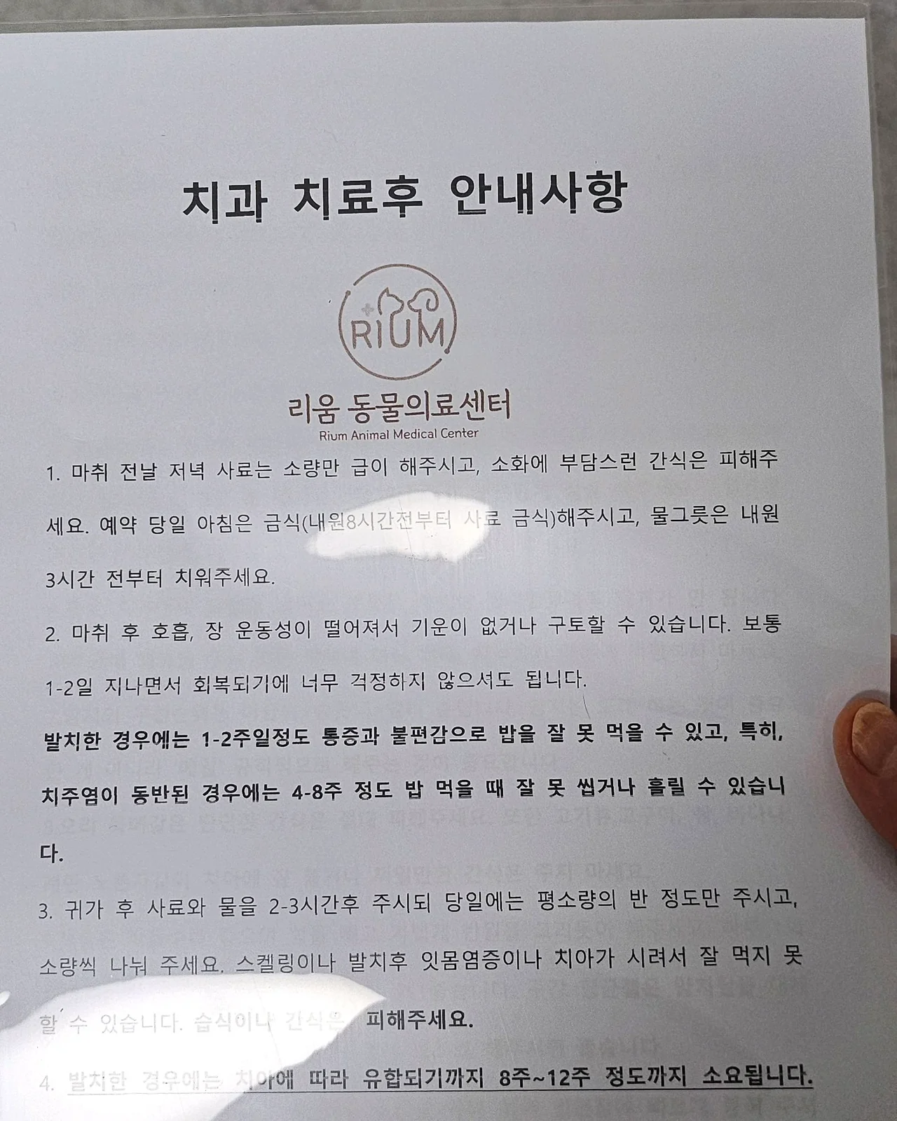 리뷰 사진 3