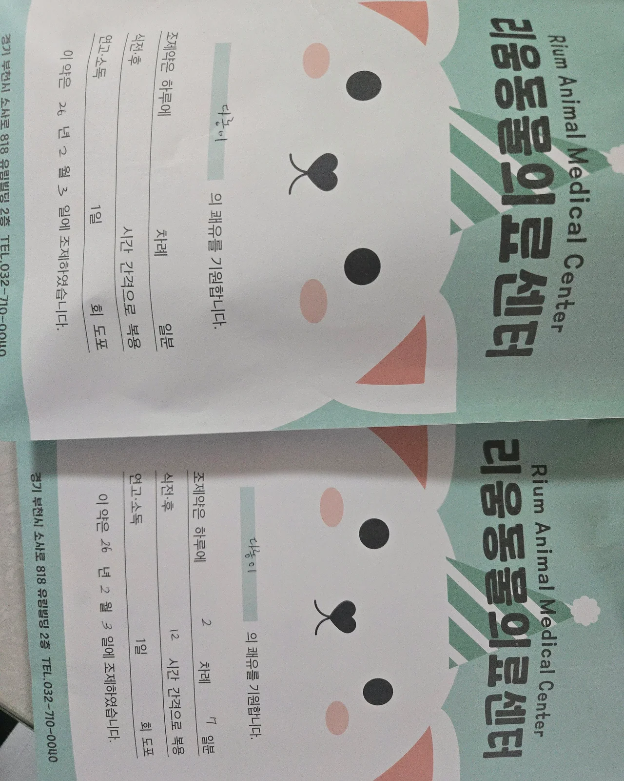 리뷰 사진 2