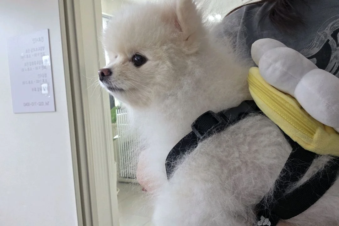 리뷰 사진 1