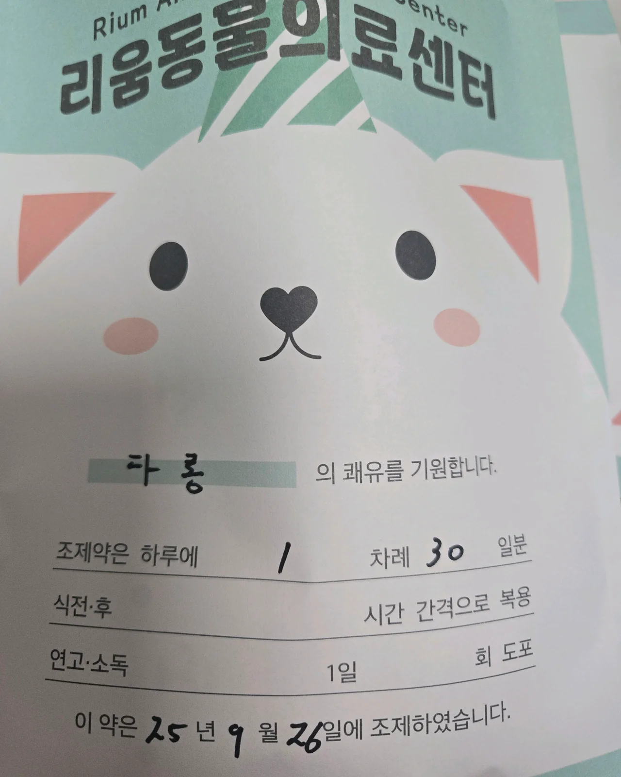 리뷰 사진 1