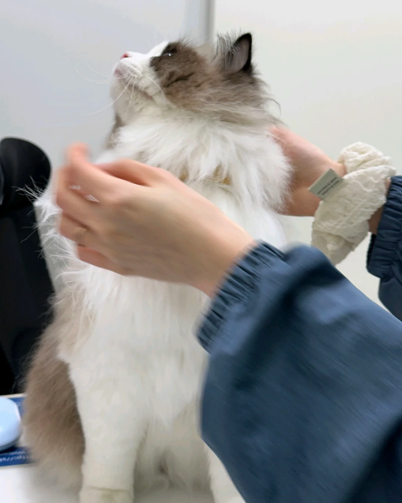 리뷰 사진 2