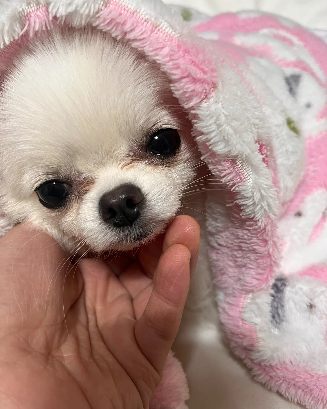 리뷰 사진 1