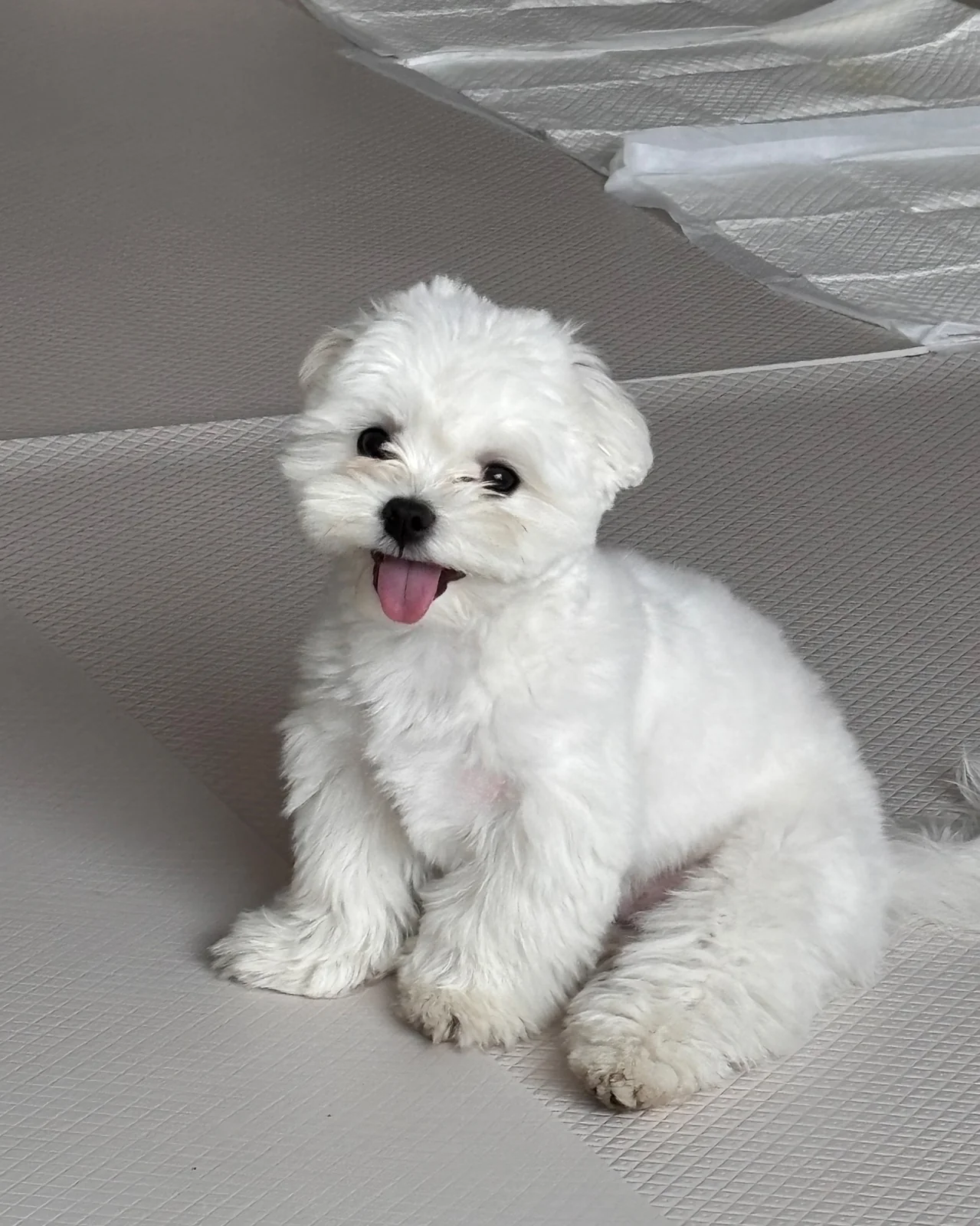 리뷰 사진 1