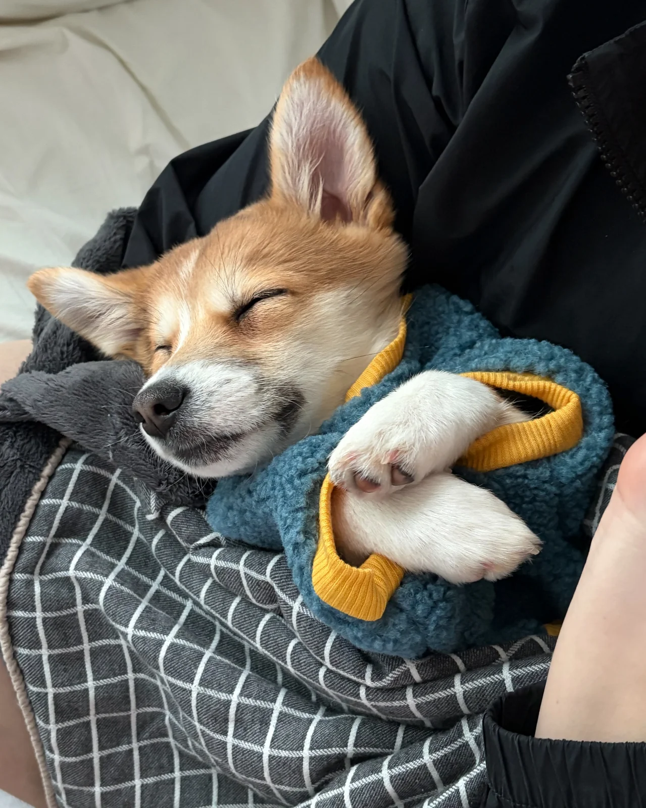 리뷰 사진 1