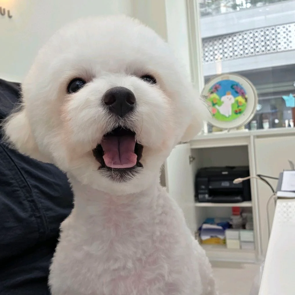 리뷰 사진 1
