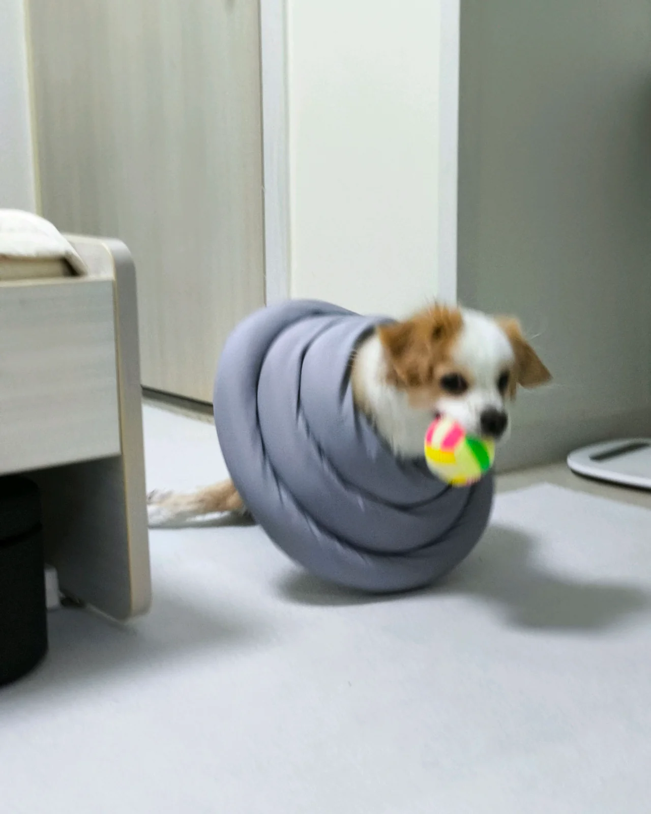 리뷰 사진 1
