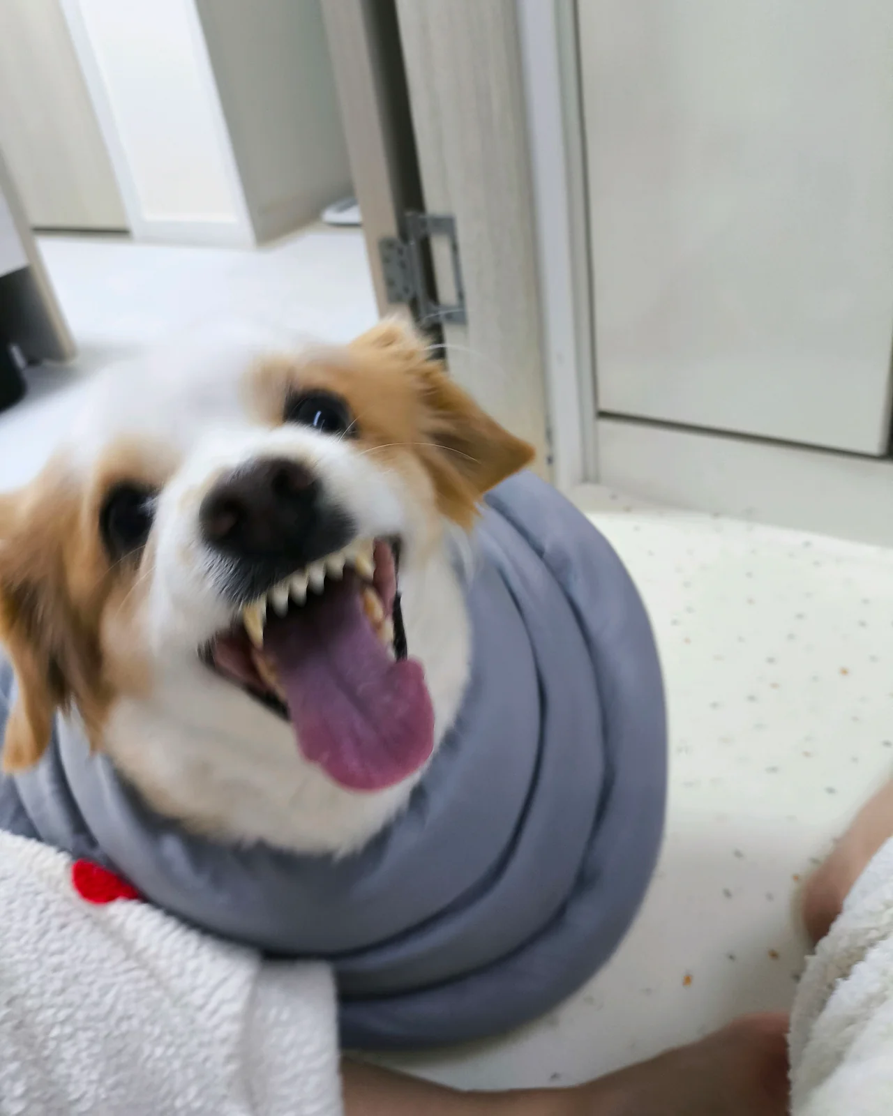 리뷰 사진 2