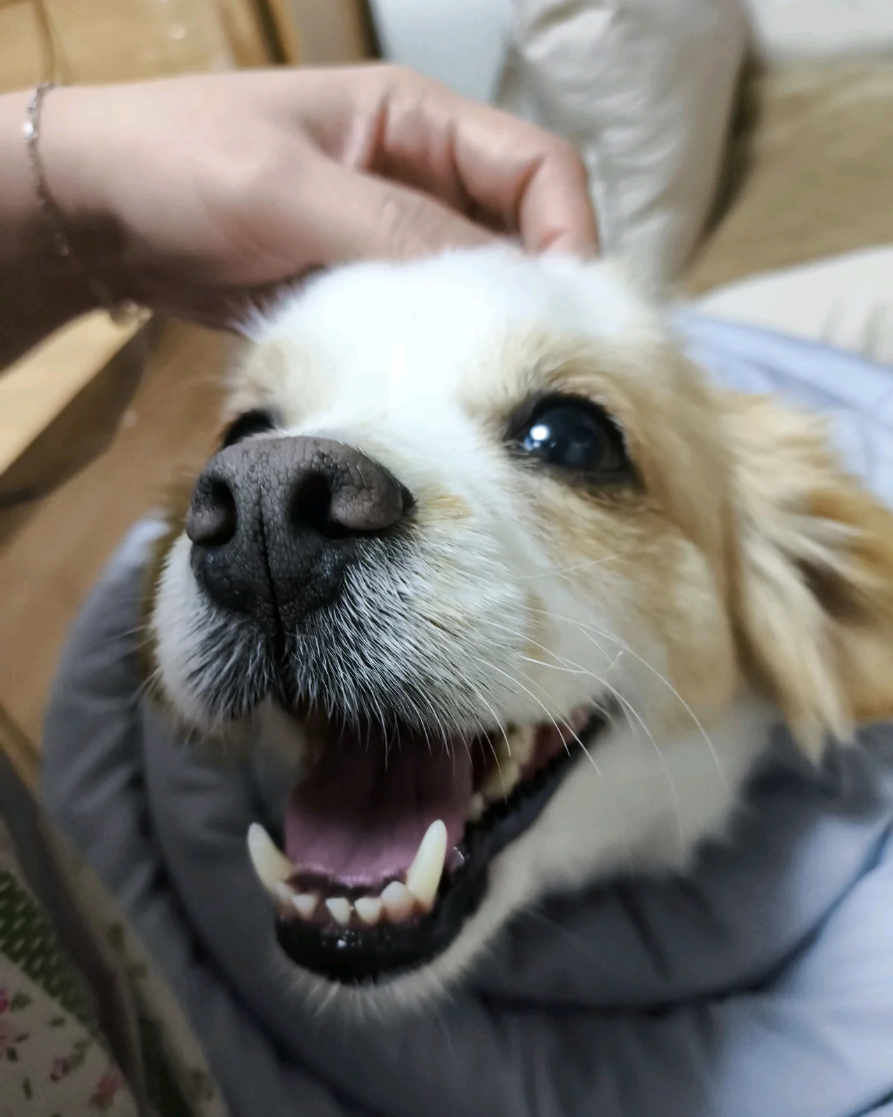리뷰 사진 3