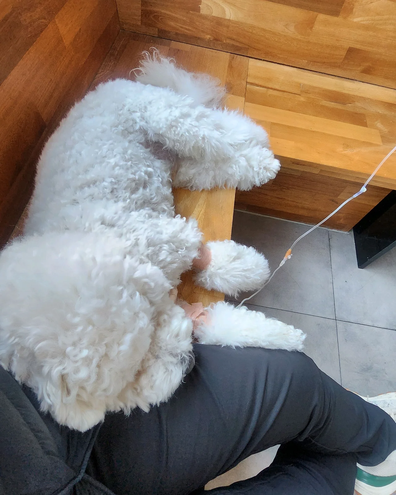 리뷰 사진 1
