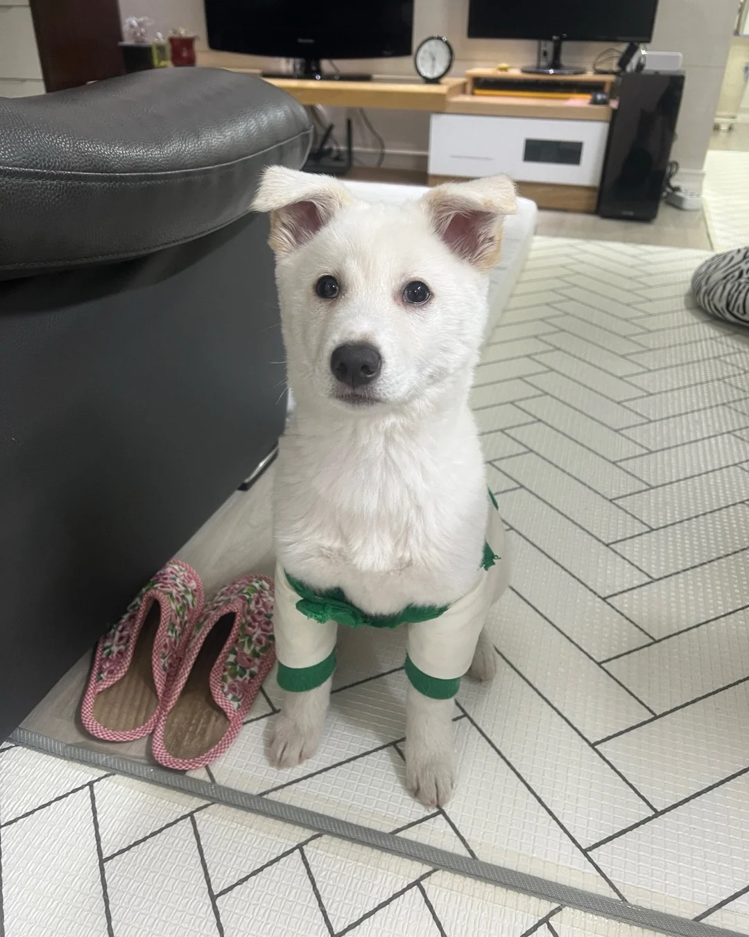 리뷰 사진 3