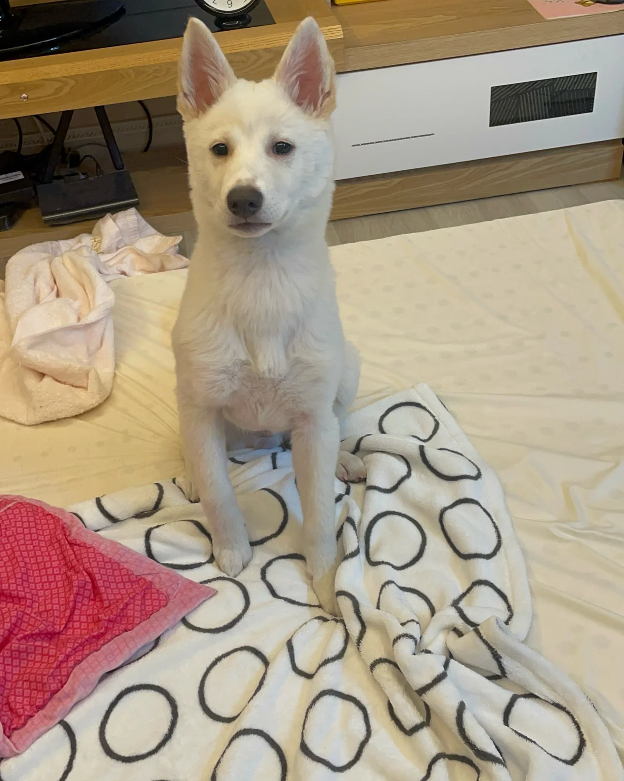 리뷰 사진 4