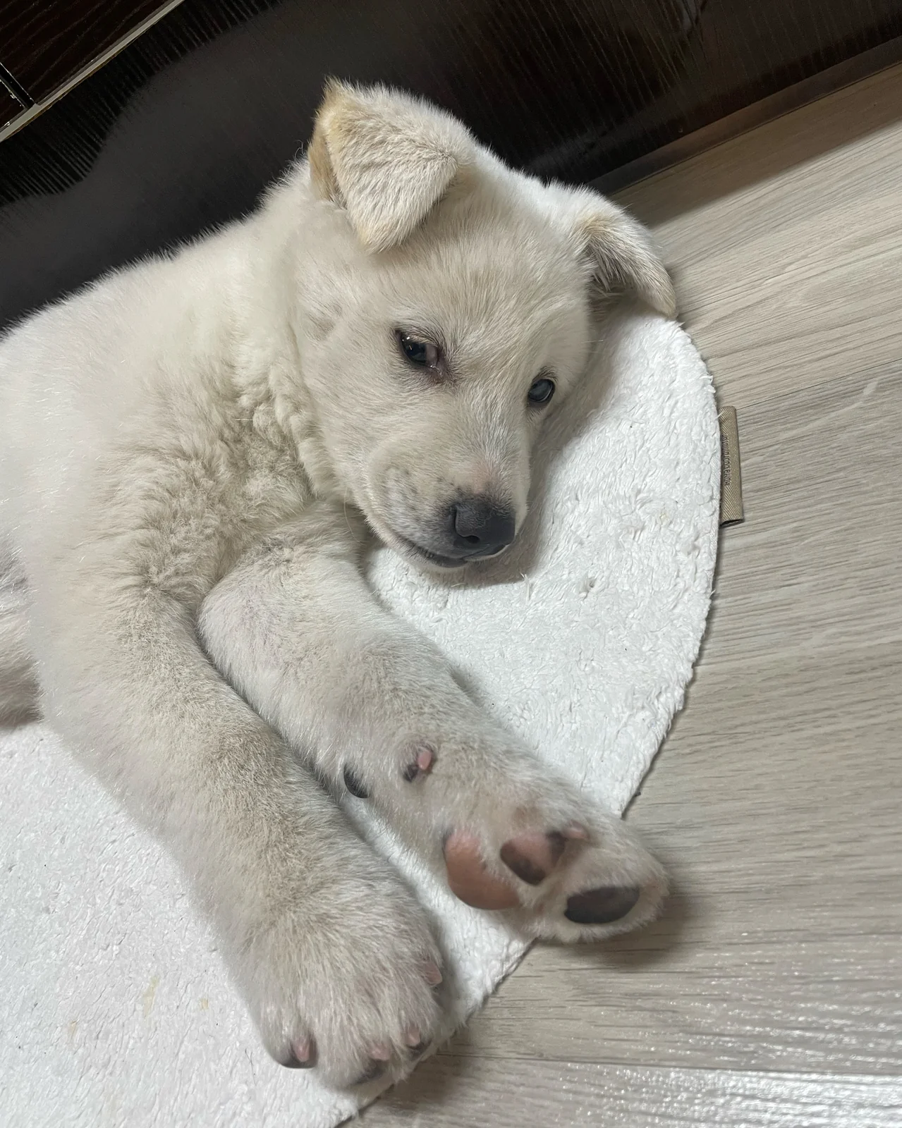 리뷰 사진 5