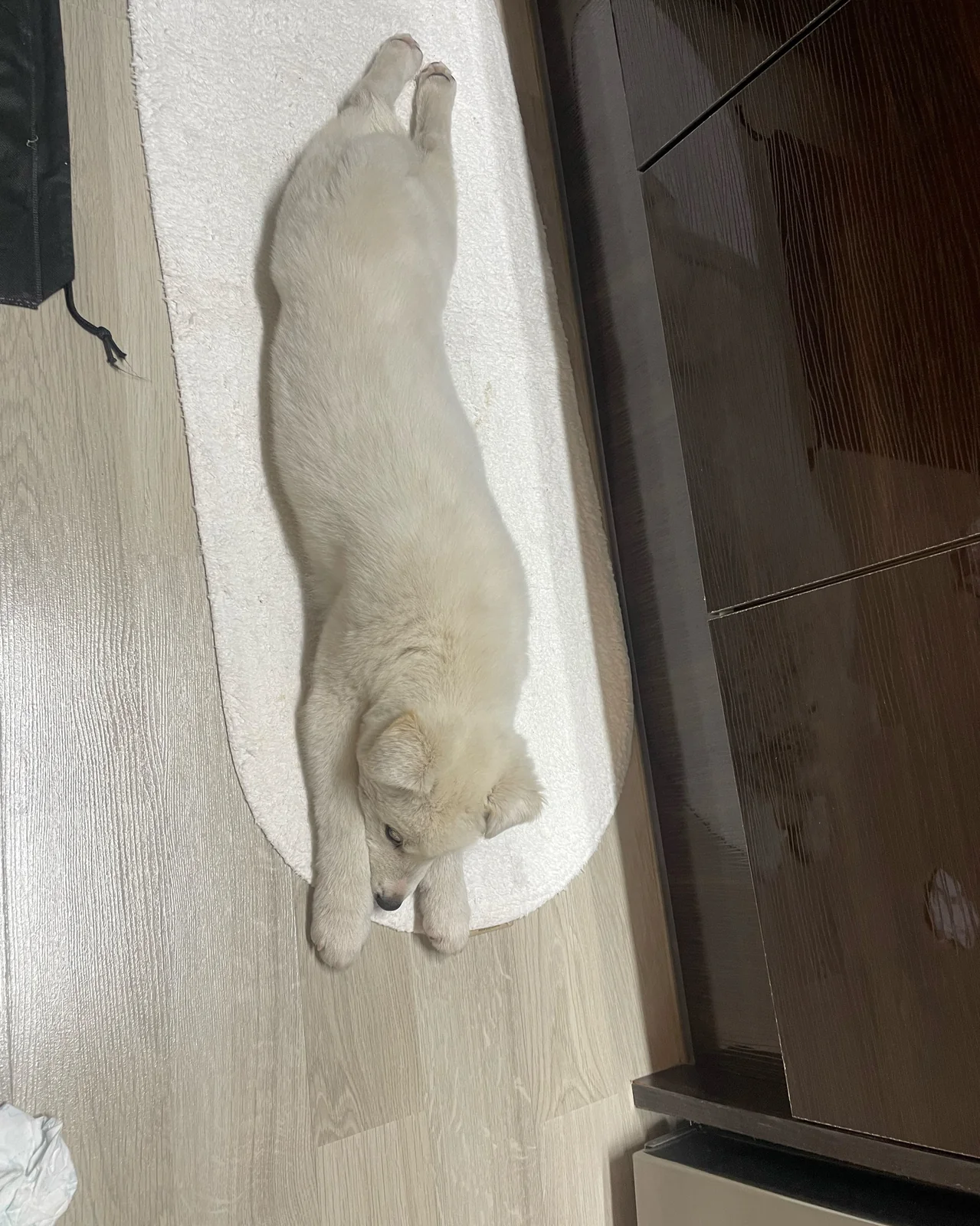 리뷰 사진 6