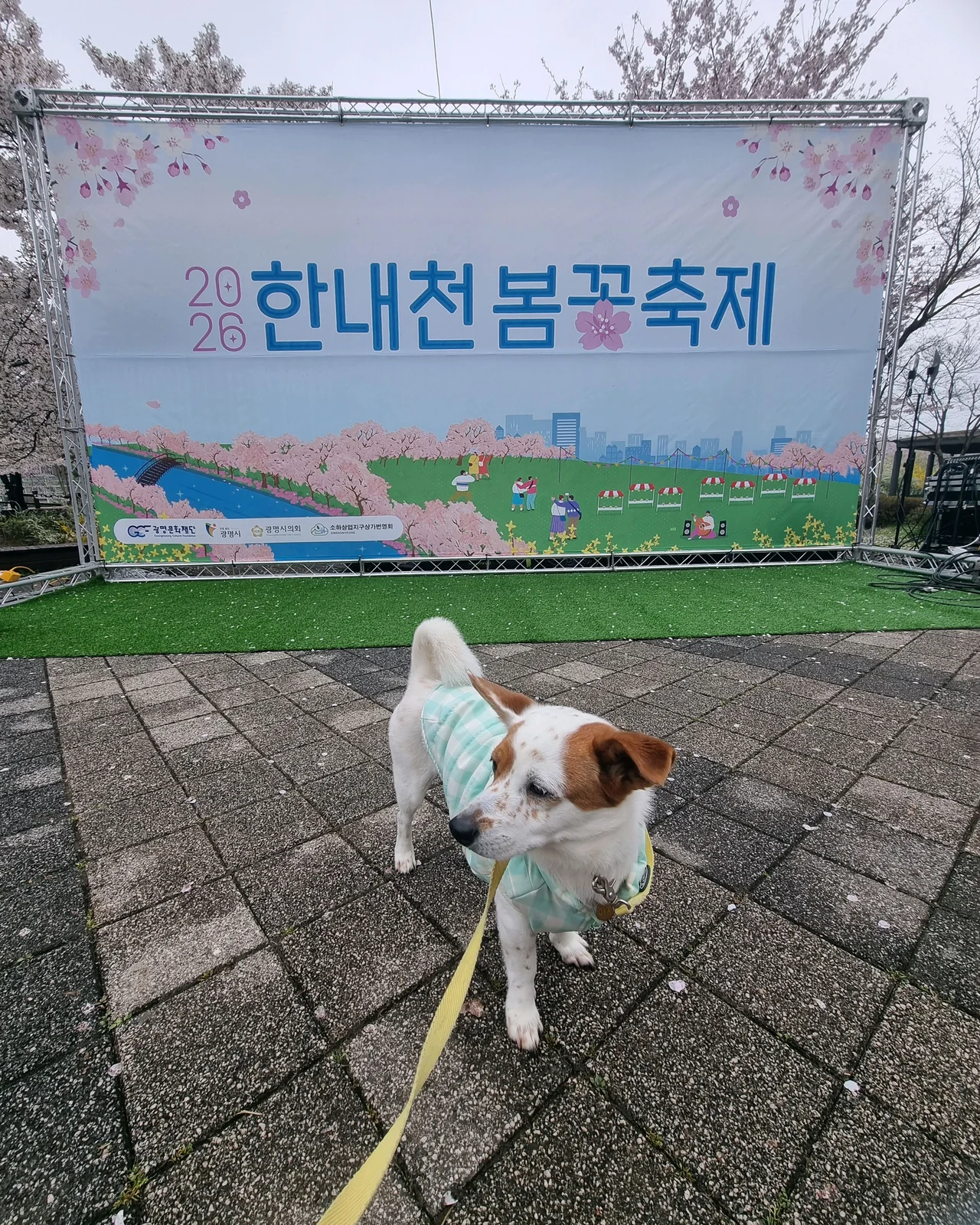 리뷰 사진 1