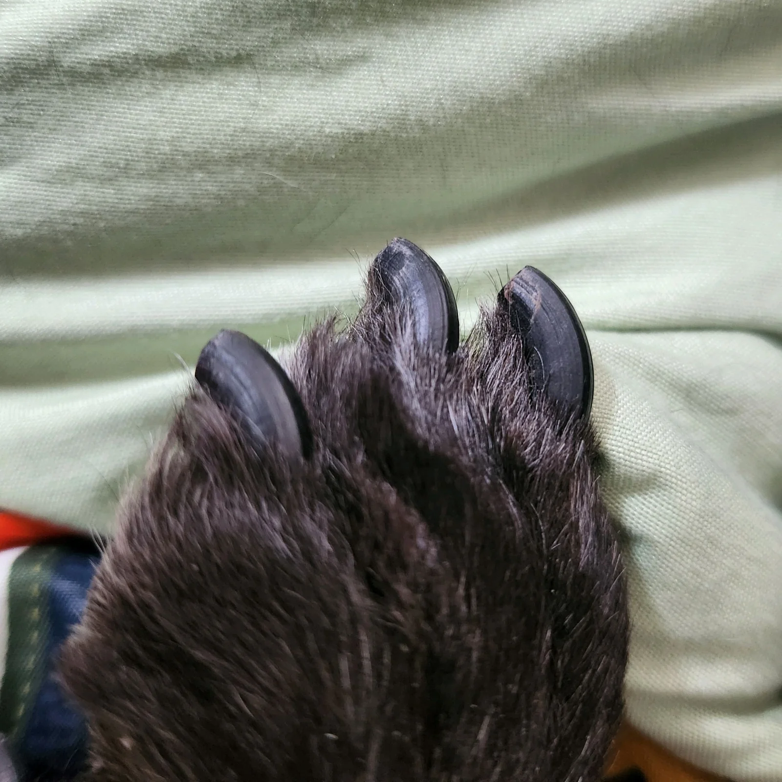 리뷰 사진 1