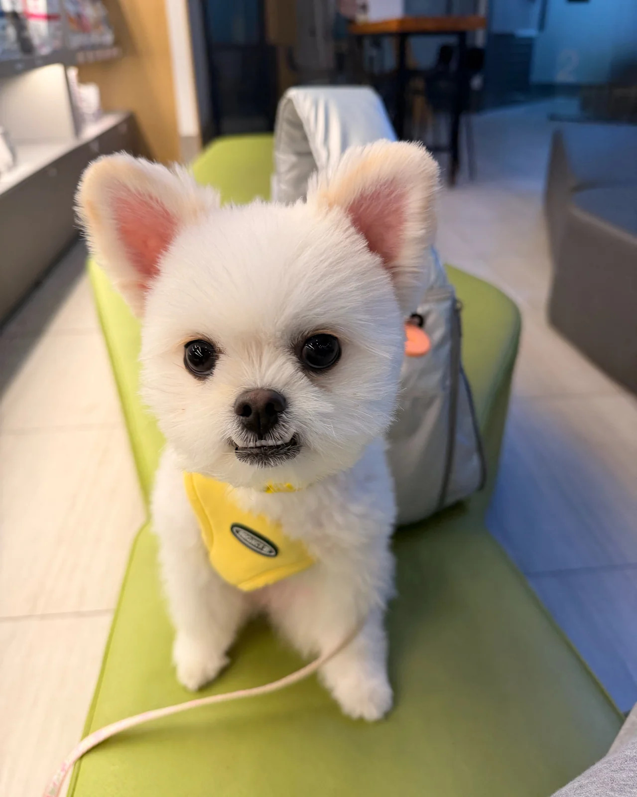 리뷰 사진 1